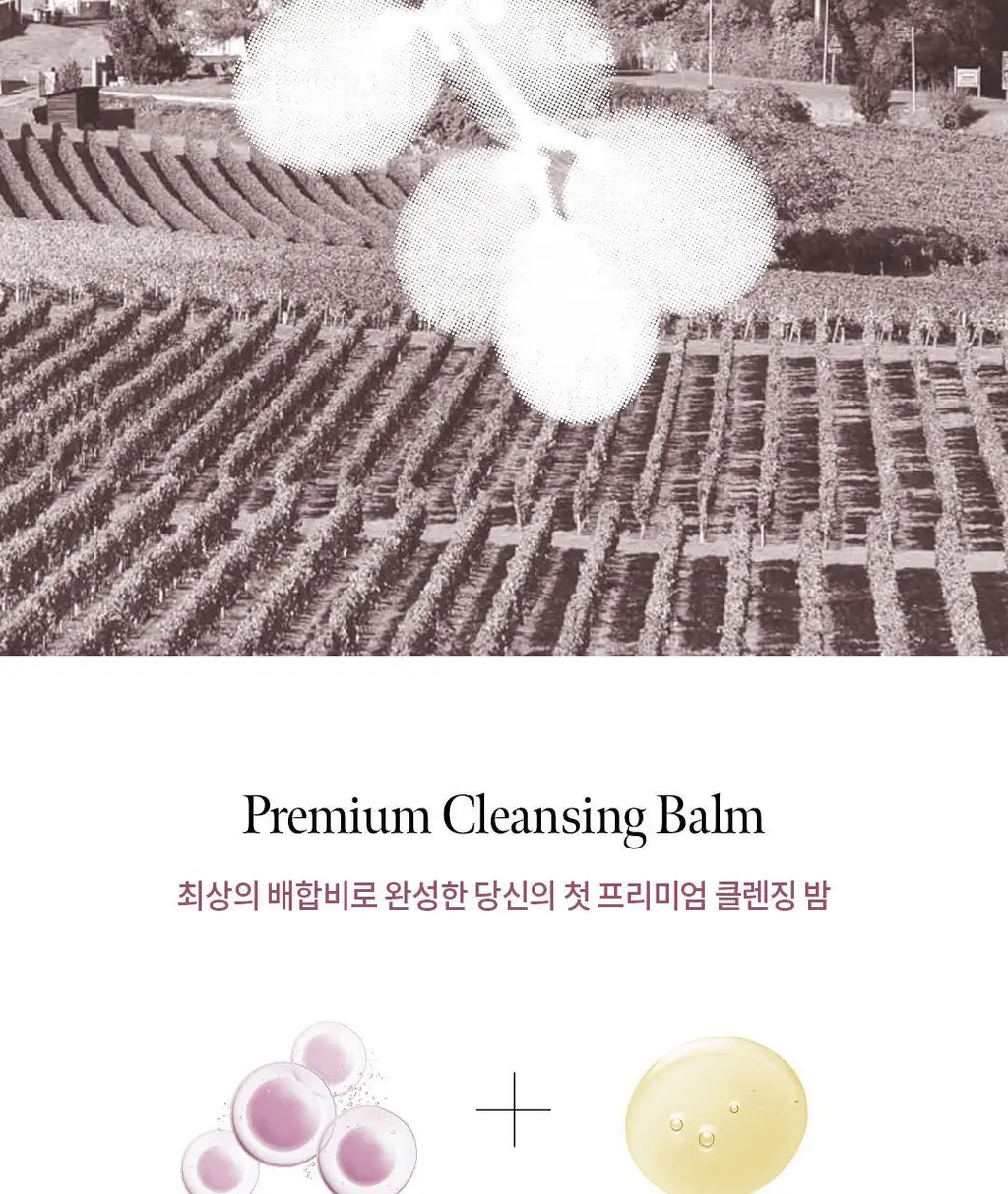 [프리미엄클렌저] 소울 애프터 글로우 광채 클렌징 밤 80g 상세페이지 3